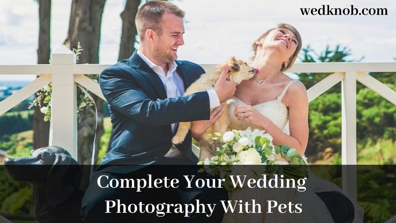 Unforgettable Wedding Photography with Pets - wedknob.com