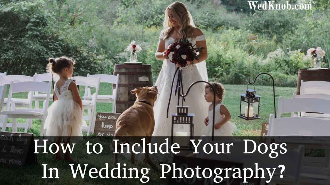 How to Include Your Dogs In Wedding Photography- wedknob.com